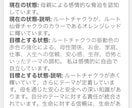 ヒーリーを使ってオーラ分析、調整を行います まずは気軽にヒーリーを試してみたい方におすすめ イメージ2