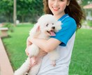 動物看護師経験を活かして相談に乗ります 獣医さんに聞いても良いのかな？なんて些細な悩みもご相談を！ イメージ1
