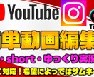 格安動画編集致します ビジネスからエンタメ、ゲーム実況、ゆっくり実況まで幅広く！ イメージ1