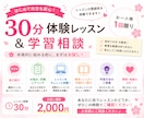 30分体験レッスン・学習相談します レッスン前に雰囲気を体験してみませんか？ イメージ1