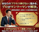 ブログのアクセス数を短期間で上げる方法を教えます プロアフィリエイターが教えるSEO対策とアフィリエイト戦略 イメージ2