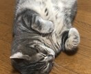 愚痴聞きます 誰にも言えないような話し聞きます イメージ1