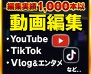 様々なジャンルの動画を編集致します 総動画編集本数1000本以上のプロが激安で動画編集致します！ イメージ1