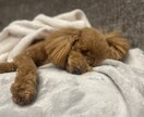 博多女子^^*(現職:音楽関係)が何でもお話きます お試し１分でもOKです✳︎誰かと繋がりたい、暇つぶしでも！ イメージ2