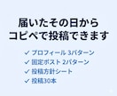 X運用スタートパック丸ごと作ります プロフィール＋固定ポスト＋投稿30本を一括納品 イメージ2
