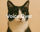 優しい朗読・癒し系ナレーションを丁寧に収録します 落ち着いた声で、やさしく寄り添うナレーションをお届けします。 イメージ1