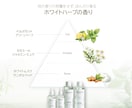 ブランディング×売れる EC用商品LPを制作します 現役11年目 | マーケティング部署所属デザイナーが対応 イメージ4