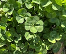 細かい線まで手相鑑定☪️貴方の心の鍵を開きます 写真4枚解説両手手のひらにカラー線とテキストで解説し占います イメージ5