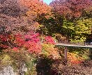 素材用に写真を提供します ご意見等ありましたらコメントください イメージ4