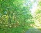今すぐ話したい！心が晴れるまでとことん付き合います 日々のストレスで疲れたあなたの心をベテラン相談員が温めます！ イメージ8