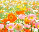 開運手相鑑定♡プロがあなたの魅力や才能を伝えます /心晴れやか✨寄り添う言葉であなたの背中をそっと押します イメージ5