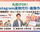 丸投げOK！Instagram運用代行をします 【Instagram特化】"育成型"SNS運用代行 イメージ1