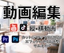 動画編集いたします イメージ通りの編集を心がけます イメージ1