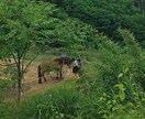 24時間☆チャットで山奥から寄り添います 山奥の素朴さや自然の厳しさから培った、共感、対話、寄り添い イメージ4