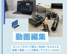 Youtube/SNS/PV広告動画等編集をします ジャンルは幅広く対応しております イメージ1