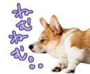 LINEスタンプ画像お作りします ご家族やペットのお写真をオリジナルのLINEスタンプに！ イメージ6