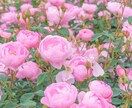 60分チャット☘️結婚生活のもやもやをお聞きします 夫婦関係/悩み/相談/離婚/再婚＊あなたに優しく寄り添います イメージ7