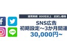 SNS広告全般の設定～3カ月運用します Facebook、インスタ、Twitter、LINE広告 イメージ1