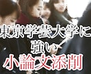 東京学芸大学＜小論文対策＞添削します 学芸大学の小論文試験に特化した添削プラン（前期試験用） イメージ1