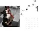 思い出の写真でカレンダー作ります 市販でいいカレンダーが見つからない…という方へ♡ イメージ4