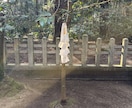 霊視で高次元から今必要なメッセージを伝えますます 身動きが取れない現状から新たな気づきで悩みを解決に導く イメージ7