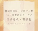 初回のみ！目標達成を支援します 【特別版】★お試しコース★習慣化でやり抜く力を手に入れよう！ イメージ1