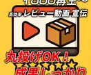 11万人YouTuberが広告運用します 1000再生～大手事務所も利用する広告手法で動画を成長へ イメージ4