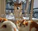 気軽に使ってね♪あなたの女友達になります 女性と話す練習や恋愛相談・雑談・愚痴・優しく受けとめます。 イメージ7