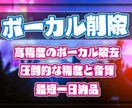 超高精度のボーカル除去【カラオケ用音源】ます 従来のボーカルカットでは削除しきれなかった曲も綺麗にカット！ イメージ1