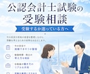 公認会計士試験の受験相談に乗ります ～現役の公認会計士が自身の経験をもとに相談対応します～ イメージ2