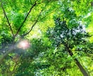 心の病、精神薬の断薬、人間関係など相談を承ります ただなんとなく話を聞いてほしい方もぜひ気軽にメッセージを！ イメージ3