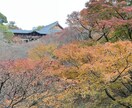 人間関係のお悩み、お聞きします 今のあなたの気持ちをちょっと話してみませんか？ イメージ1