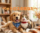 ペットロスの悲しみ寂しさ辛さ全てお聴きます ペットの居ない人生がなく何度もお別れの経験をしてきました イメージ2
