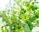 恋愛成就の伴走 その恋が叶わない理由を霊視します 恋が叶わない理由の先にある、あなたを幸せにする真実の鑑定 イメージ7