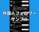 Xツイッター外国人フォロワーを1000人増やします 【最安】X(旧ツイッター)の外国人1000人増加ほぼ減少なし イメージ4