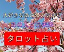 大好きなあの人の気持ち未来をタロットで占います どんな内容でもあなたを信頼しあなたを幸せに導く占いをします イメージ1