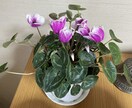 20%の自分を愛せる整え方、お話し相手になれます 風のような明るい出会いが人生に喜びをもたらすと感じる｡ イメージ1