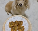 愛犬がまとわりついて離れないおやつお伝えします 無添加でおいしいストックもできる簡単レシピ イメージ6