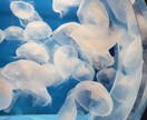 人生の壁にぶち当たっている方、お話聞きます あなたにとってベストな解決策を一緒に見つけましょう イメージ1