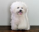 ペット（犬　猫）の画像から ぬいぐるみを作ります カールしたファー（毛）が、まるでウチの子を撫でている感覚に。 イメージ10