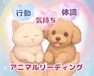 あなたの大切なワンちゃん、猫ちゃんの魂と繋がります 今そばにいる子の｢想い｣を伝えるスピリチュアル鑑定☘️ イメージ1