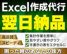 翌日納品：エクセル関数入力・グラフ作成を代行します 【購入は相談後でOK】問合せ後、納品物イメージを提示します イメージ1