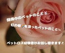 度々ペットを失った経験者が貴方の心に寄り添います 大切なペットの病気や喪失の悲しみ、何でも打ち明けて下さい❤️ イメージ1