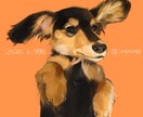 写真から可愛くペットの似顔絵を描きます 大切なペットの似顔絵を描いて欲しい人に☺️ イメージ3