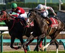 競馬予想致します 競馬予想日曜日のみ1ヶ月3,000円 イメージ1