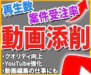 YouTubeやポートフォリオの動画など添削します 【最安値】クオリティ、視聴率アップ！仕事を貰える編集のコツ！ イメージ1