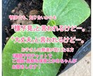 保育士、子育てかぁちゃんが話を聞きます 検診では「様子見」「大丈夫」と言われるけどそんな不安聞きます イメージ1