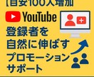 YouTube登録者数プロモーション支援いたします 登録者増加に向けた施策をご提案！ イメージ2