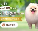 元営業職のデザイナーが、訴求バナーを作成します 短納期可能！修正回数無制限！営業視点で伝わるデザインを提案 イメージ2