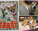 お気に入りをモザイクアートに作成いたします ♡可愛いペットを色褪せないモザイクアートに！ イメージ9